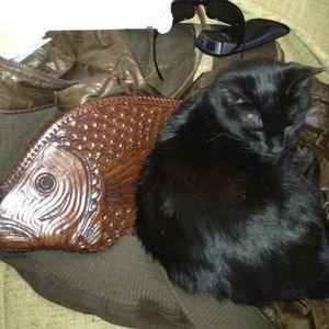 Meet your Posher, Joyce